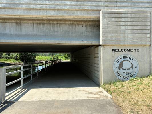 Salt Creek Greenway Trail at the 294 underpass