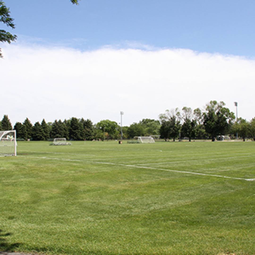 Athletic Fields