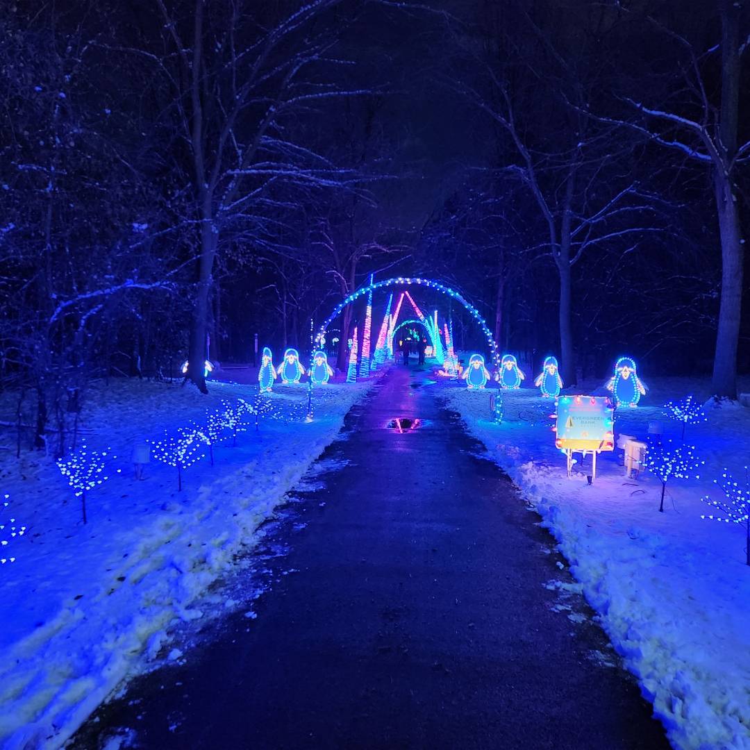 Winter Lights