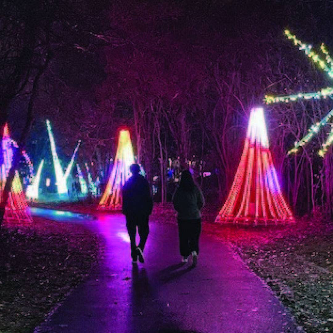 PIONEER NIGHT AT WINTER LIGHTS