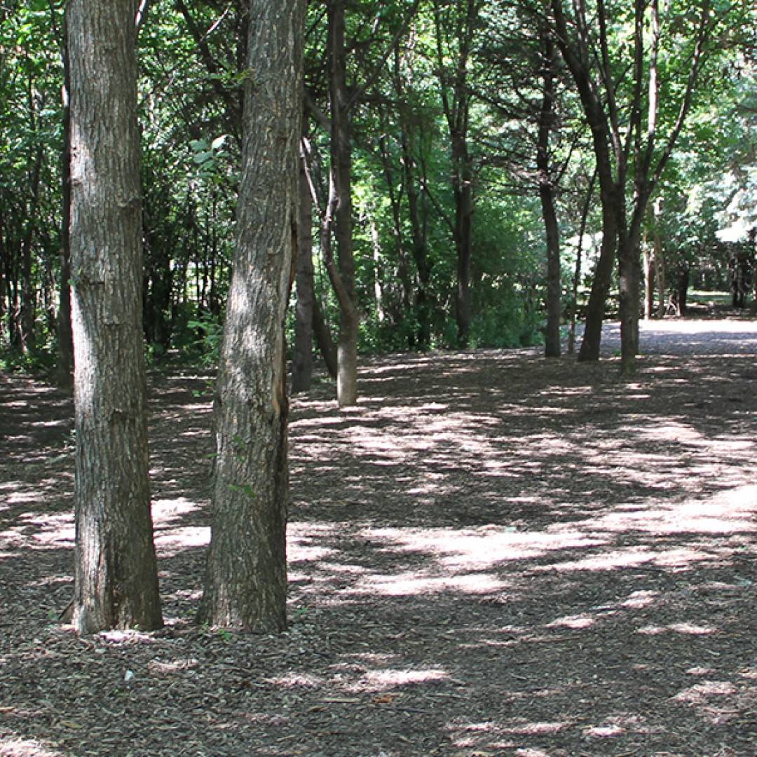 Central Park Disc Golf