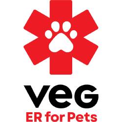 VEG Logo