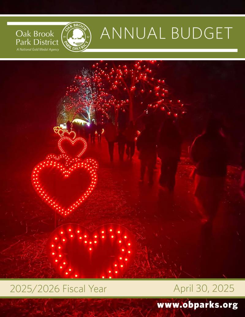 Budget Cover