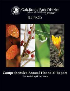 2008 Comprehensive Financial Report 