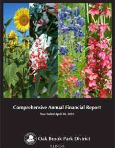 2010 Comprehensive Financial Report 