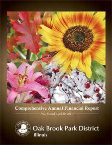 2011 Comprehensive Financial Report 