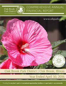 2016 Comprehensive Financial Report 